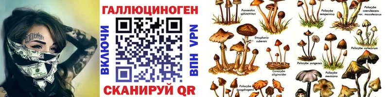 Псилоцибиновые грибы Magic Shrooms  где купить   Новотроицк 